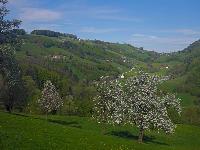 Hirschenberg (12 Bildaufrufe)