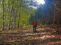 Hirschenberg (15 Bildaufrufe)