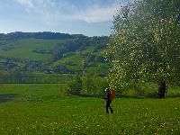 Hirschenberg (8 Bildaufrufe)