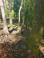 Klausberg (6 Bildaufrufe)