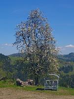 Klausberg (11 Bildaufrufe)