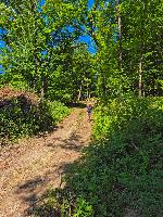 Hochgreding (6 Bildaufrufe)
