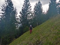 Bärenkogel (29 Bildaufrufe) Bärenkogel (29 Bildaufrufe)