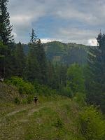 Moserkogel (31 Bildaufrufe)