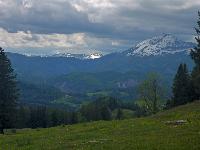 Moserkogel (18 Bildaufrufe) Moserkogel (18 Bildaufrufe)