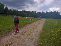 Moserkogel (27 Bildaufrufe) Moserkogel (27 Bildaufrufe)