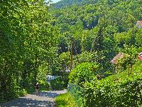 Plabutsch (27 Bildaufrufe)