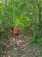 Plabutsch (23 Bildaufrufe) Plabutsch (23 Bildaufrufe)