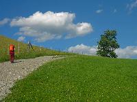 Kaiserkogel (13 Bildaufrufe) Kaiserkogel (13 Bildaufrufe)