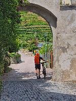 Tausendeimerberg (17 Bildaufrufe)