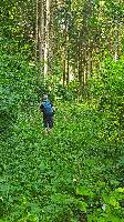 Hochreithspitz (16 Bildaufrufe) Hochreithspitz (16 Bildaufrufe)