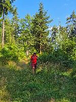 Hoher Gallin (23 Bildaufrufe) Hoher Gallin (23 Bildaufrufe)