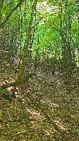 Hoher Gallin (24 Bildaufrufe) Hoher Gallin (24 Bildaufrufe)