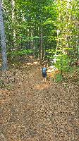 Hoher Gallin (21 Bildaufrufe) Hoher Gallin (21 Bildaufrufe)