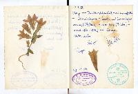 1.Tourenbuch, Bild 26 (278 Bildaufrufe)