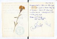 1.Tourenbuch, Bild 52 (331 Bildaufrufe)