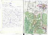 6.Tourenbuch, Bild 17 (180 Bildaufrufe)