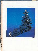7.Tourenbuch, Bild 9 (242 Bildaufrufe)